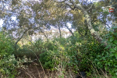 Terreno para Venda em Fatima