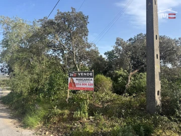 Terreno para Venda em Fatima