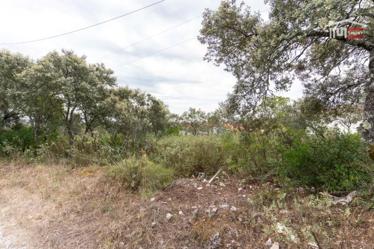 Terreno para Venda em Fatima Foto 16