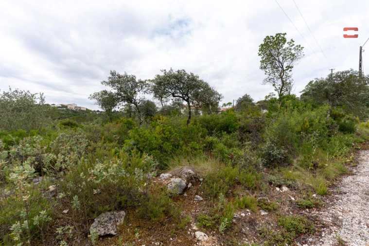 Terreno para Venda em Fatima Foto 20