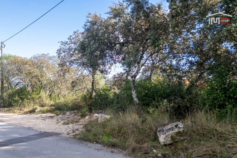Terreno para Venda em Fatima Foto 22