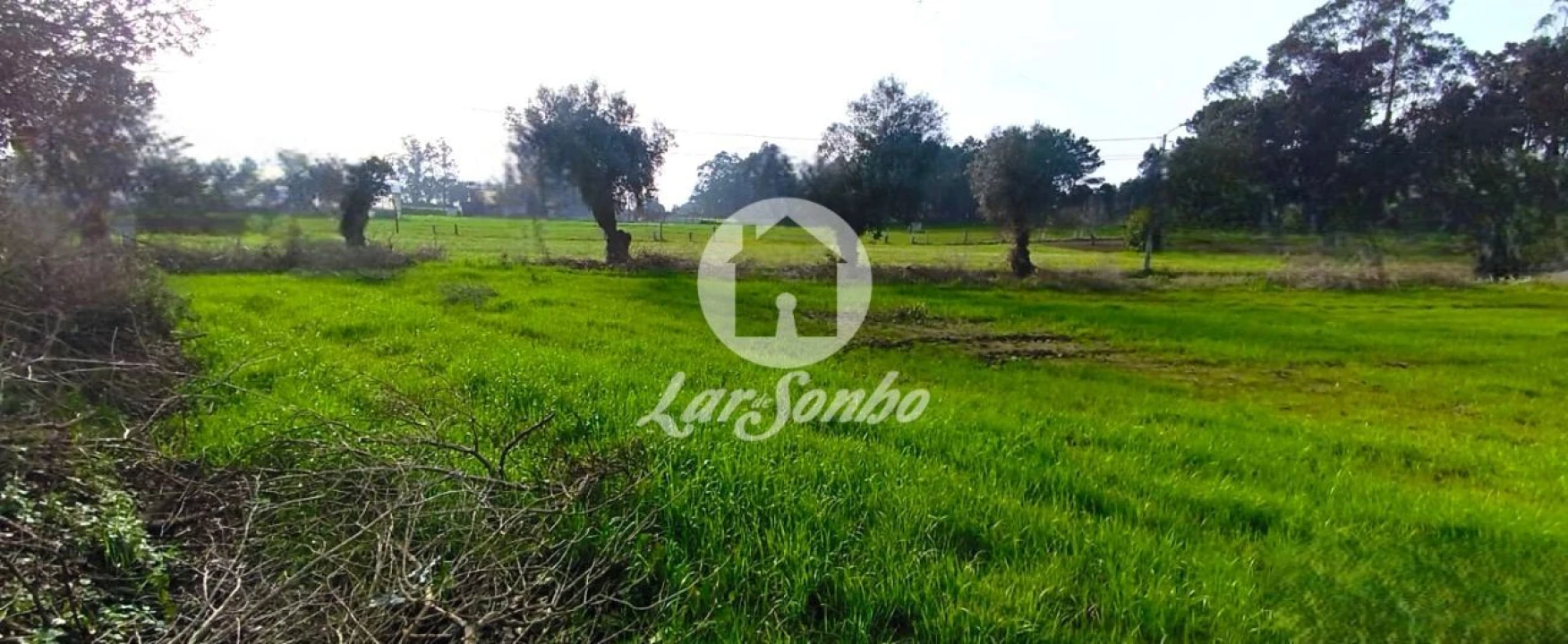 Terreno para Venda em Gemeses Foto 4