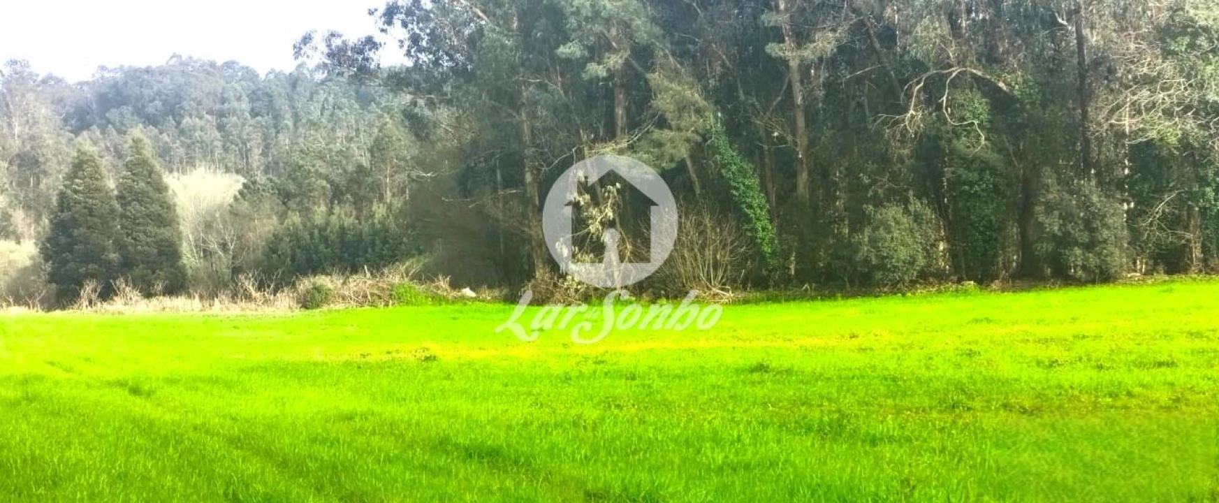 Terreno para Venda em Gemeses Foto 5