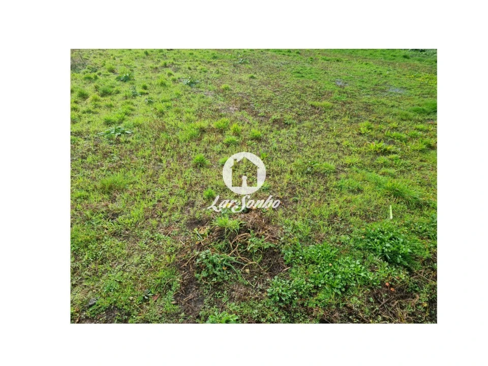 Terreno para Venda em Gemeses Foto 10