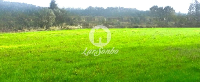 Terreno para Venda em Gemeses