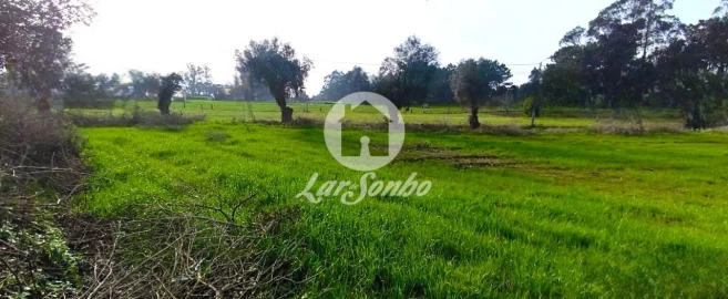 Terreno para Venda em Gemeses