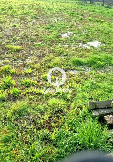 Terreno para Venda em Gemeses