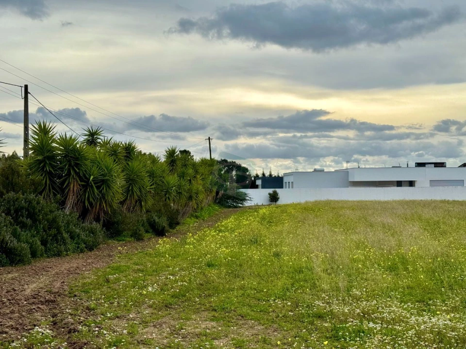 Terreno para Venda em Cartaxo e Vale da Pinta Foto 15