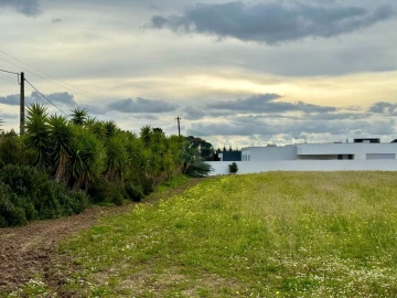 Terreno para Venda em Cartaxo e Vale da Pinta