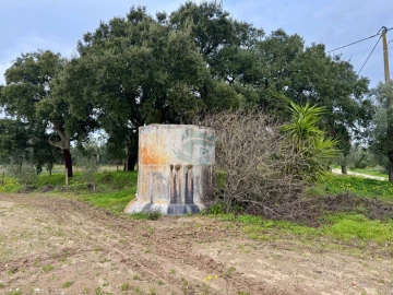 Terreno para Venda em Cartaxo e Vale da Pinta