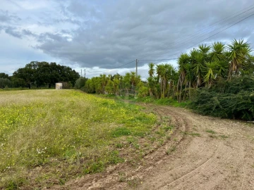 Terreno para Venda em Cartaxo e Vale da Pinta