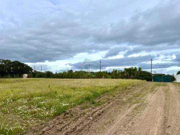 Terreno para Venda em Cartaxo e Vale da Pinta