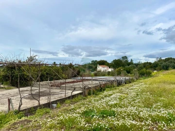 Terreno para Venda em Cartaxo e Vale da Pinta