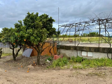 Terreno para Venda em Cartaxo e Vale da Pinta