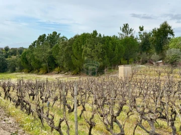 Terreno para Venda em Cartaxo e Vale da Pinta