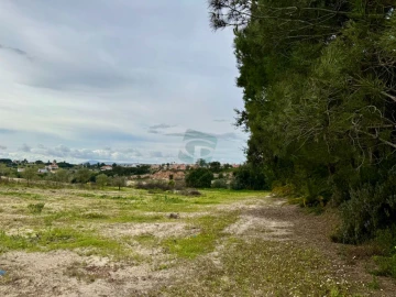 Terreno para Venda em Cartaxo e Vale da Pinta
