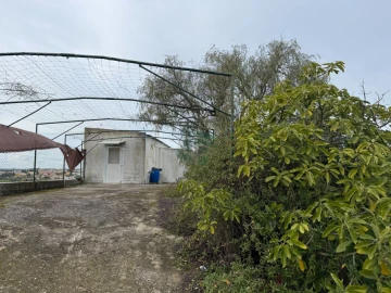Terreno para Venda em Cartaxo e Vale da Pinta