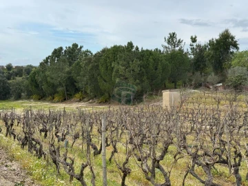 Terreno para Venda em Cartaxo e Vale da Pinta