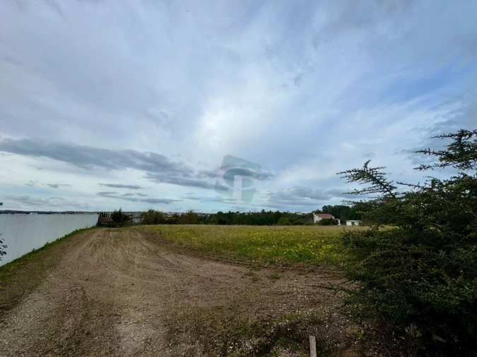 Terreno para Venda em Cartaxo e Vale da Pinta Foto 19