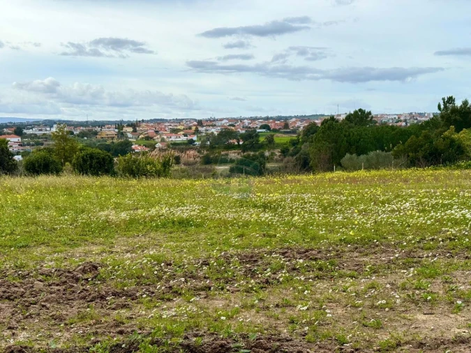 Terreno para Venda em Cartaxo e Vale da Pinta Foto 5