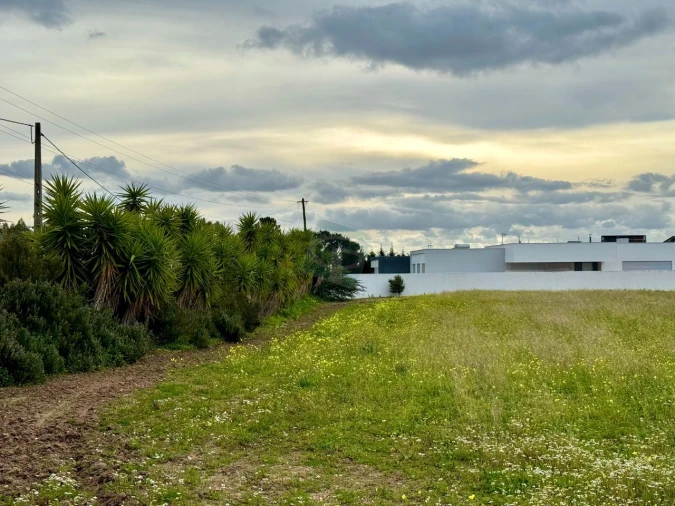 Terreno para Venda em Cartaxo e Vale da Pinta Foto 15