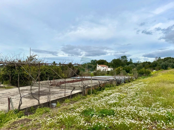 Terreno para Venda em Cartaxo e Vale da Pinta Foto 9
