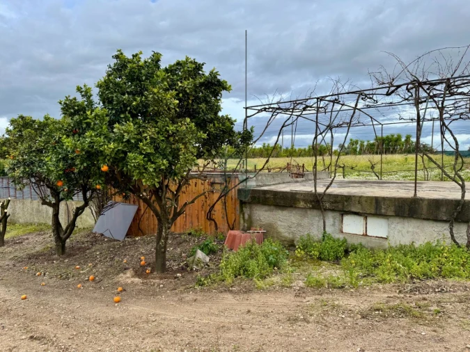 Terreno para Venda em Cartaxo e Vale da Pinta Foto 10
