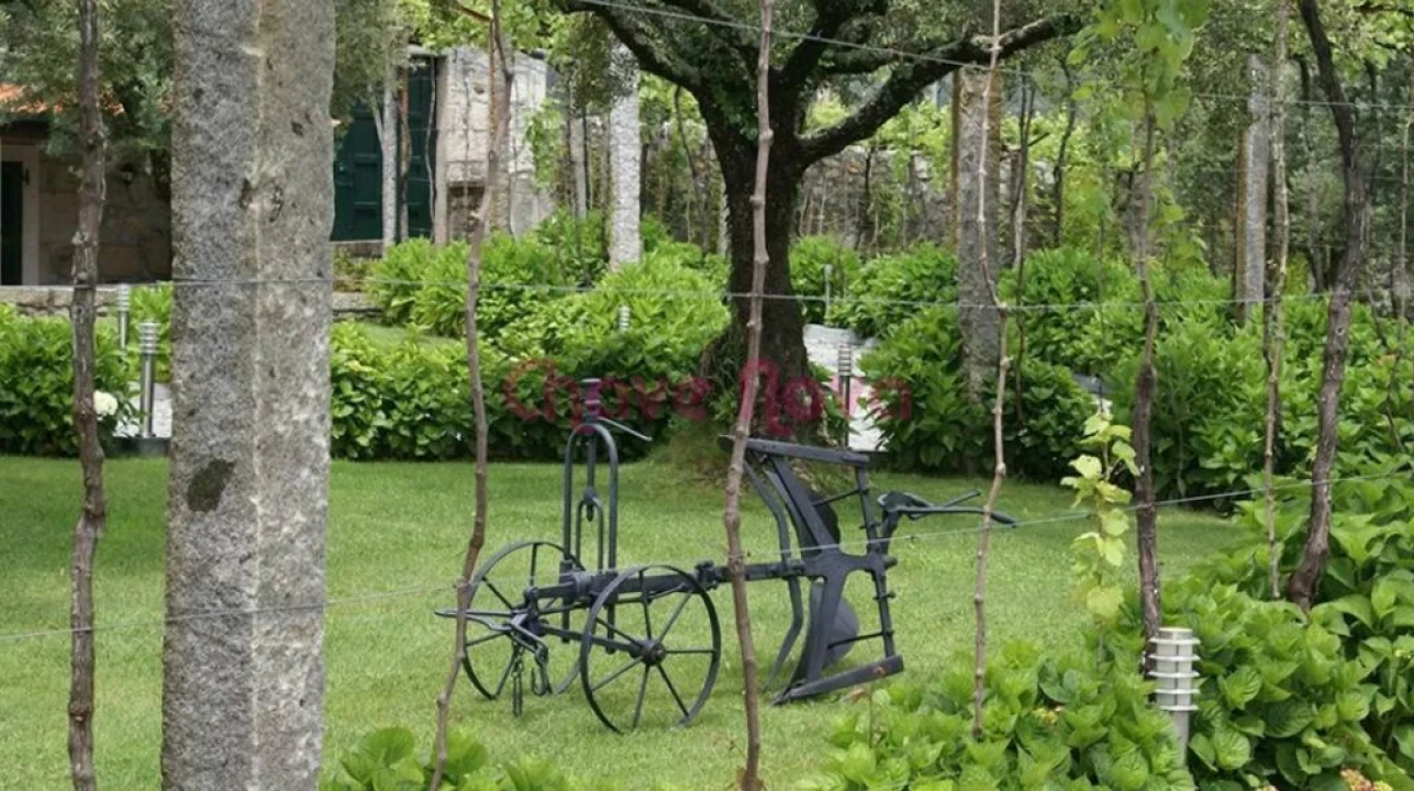 Quinta T6 para Venda em Afife Foto 5