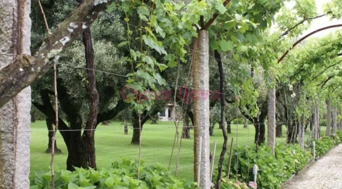 Quinta T6 para Venda em Afife