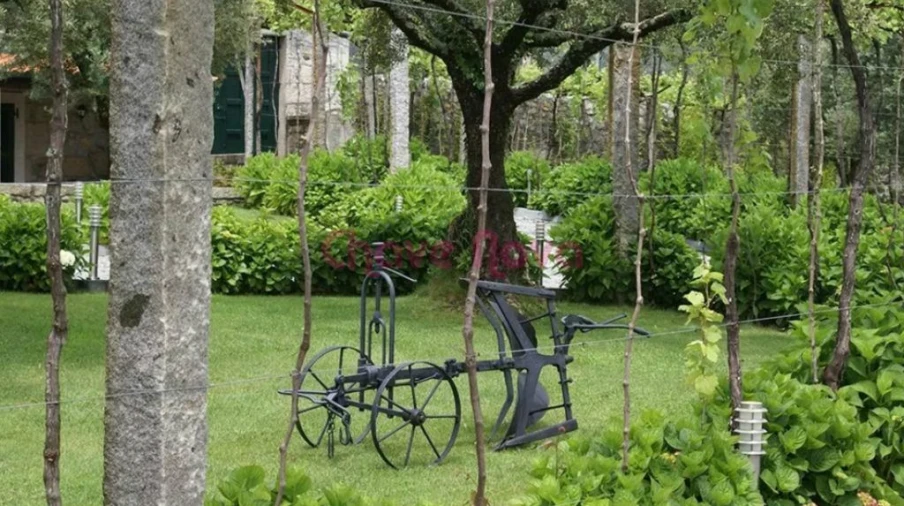 Quinta T6 para Venda em Afife Foto 5