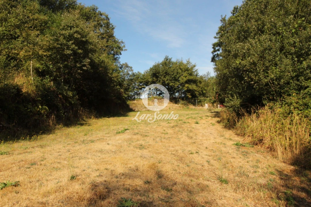 Terreno Agricola ou Rústico para Venda em Monte e Queimadela Foto 1