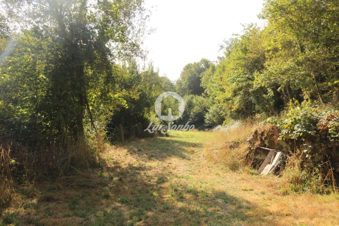 Terreno Agricola ou Rústico para Venda em Monte e Queimadela Foto 2