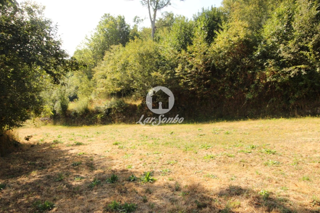 Terreno Agricola ou Rústico para Venda em Monte e Queimadela Foto 13