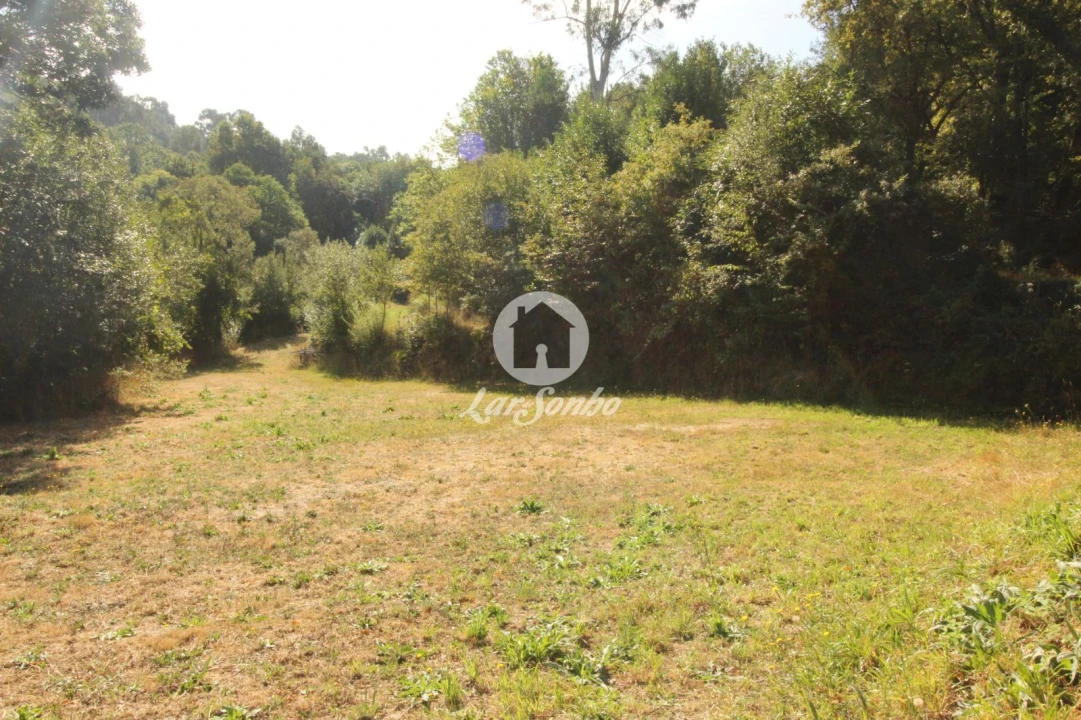 Terreno Agricola ou Rústico para Venda em Monte e Queimadela Foto 14