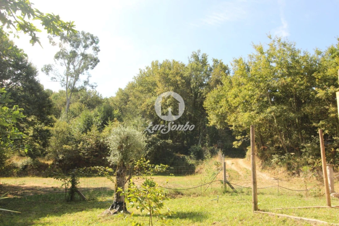 Terreno Agricola ou Rústico para Venda em Monte e Queimadela Foto 18