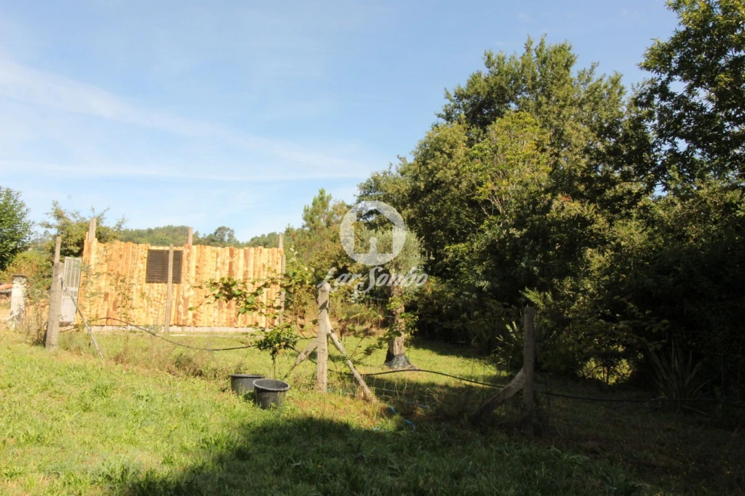 Terreno Agricola ou Rústico para Venda em Monte e Queimadela Foto 6