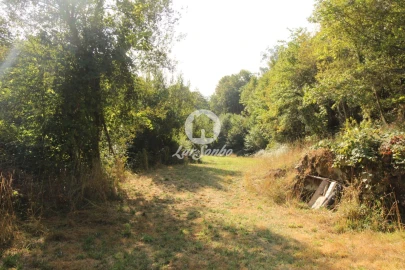 Terreno Agricola ou Rústico para Venda em Monte e Queimadela