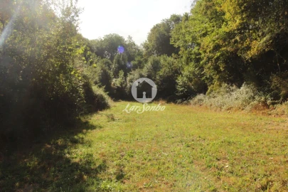 Terreno Agricola ou Rústico para Venda em Monte e Queimadela