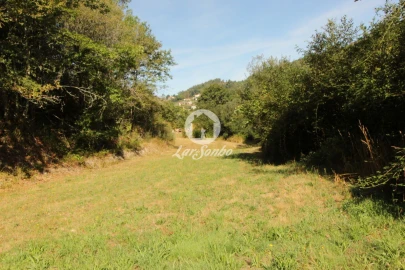 Terreno Agricola ou Rústico para Venda em Monte e Queimadela