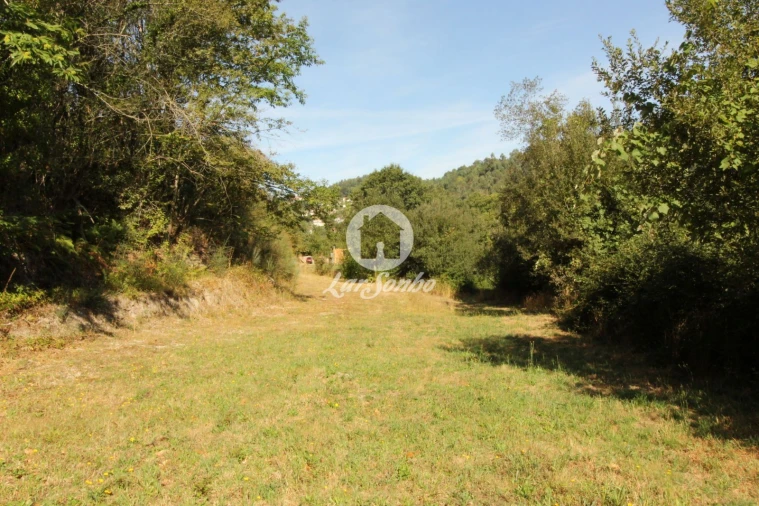 Terreno Agricola ou Rústico para Venda em Monte e Queimadela Foto 9