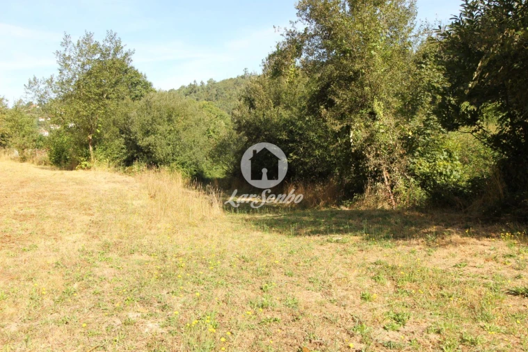 Terreno Agricola ou Rústico para Venda em Monte e Queimadela Foto 10