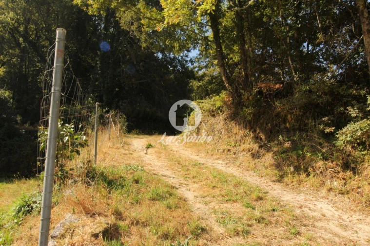 Terreno Agricola ou Rústico para Venda em Monte e Queimadela Foto 15