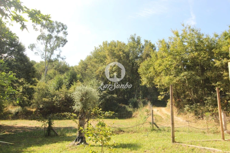 Terreno Agricola ou Rústico para Venda em Monte e Queimadela Foto 18