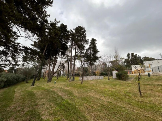 Prédio para Venda em Palmela Foto 9