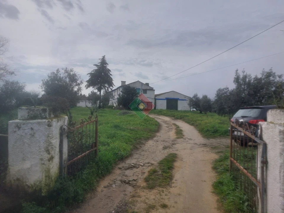 Quinta T9 para Venda em Sé e São Lourenço Foto 1