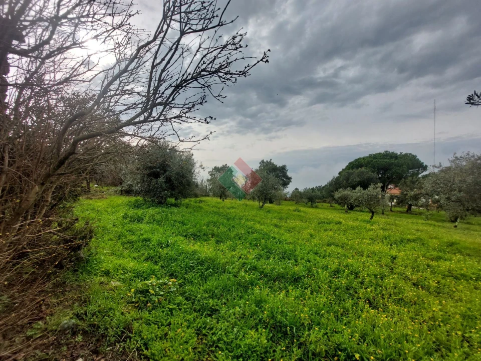Quinta T9 para Venda em Sé e São Lourenço Foto 3