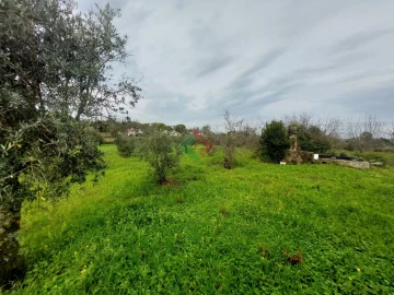 Quinta T9 para Venda em Sé e São Lourenço