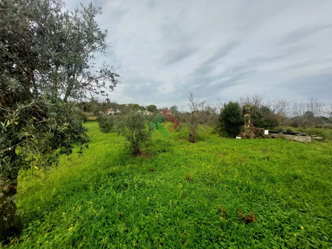 Quinta T9 para Venda em Sé e São Lourenço Foto 4