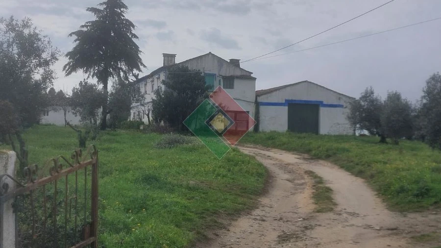 Quinta T9 para Venda em Sé e São Lourenço