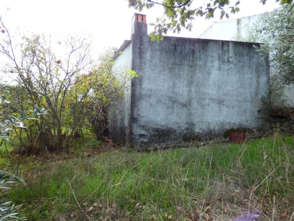 Terreno Agricola ou Rústico para Venda em Nossa Senhora da Graça de Povoa e Meadas Foto 6